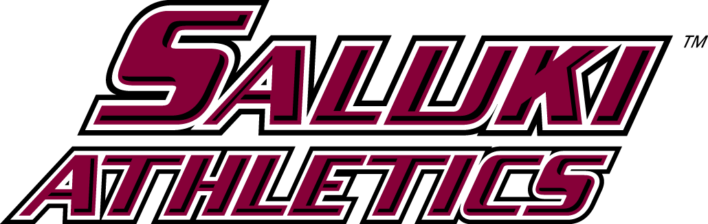 Southern Illinois Salukis 2001-2019 Wordmark Logo diy DTF decal sticker